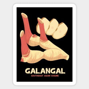 Galangal Magnet
